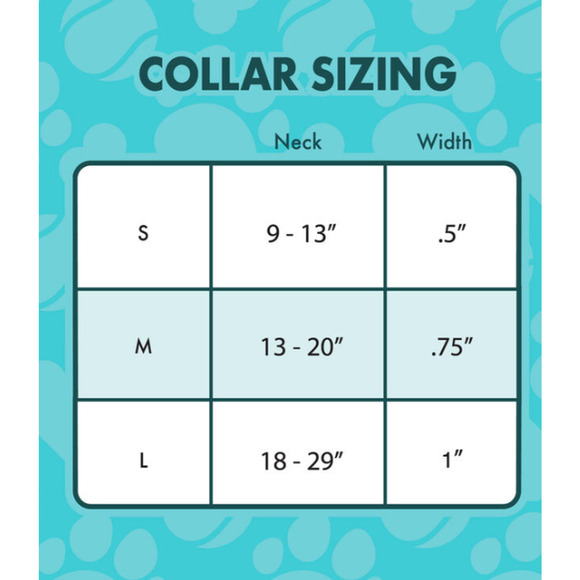 Loungefly Star Wars Ewok Officially Licensed  Dog Collar Small (9-13" neck) NWT - Picture 7 of 7